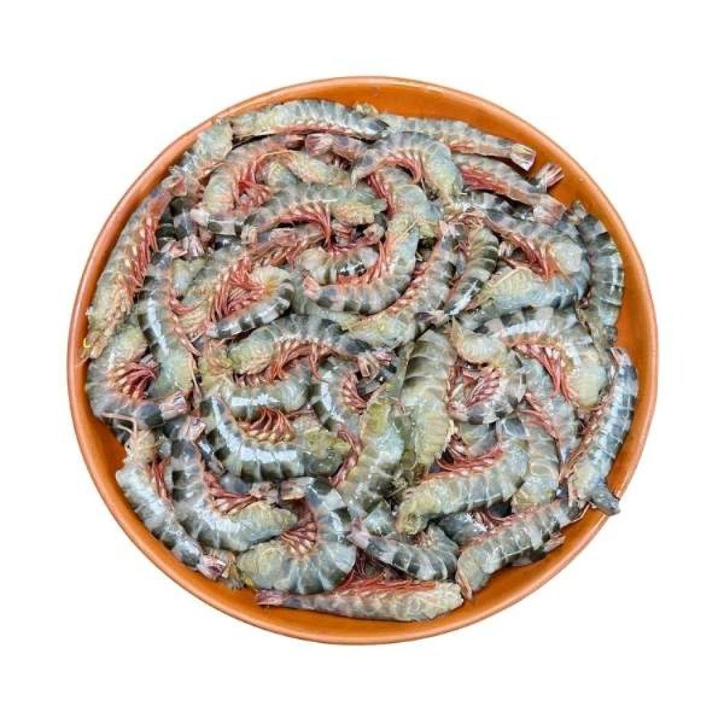 টাইগার চিংড়ি